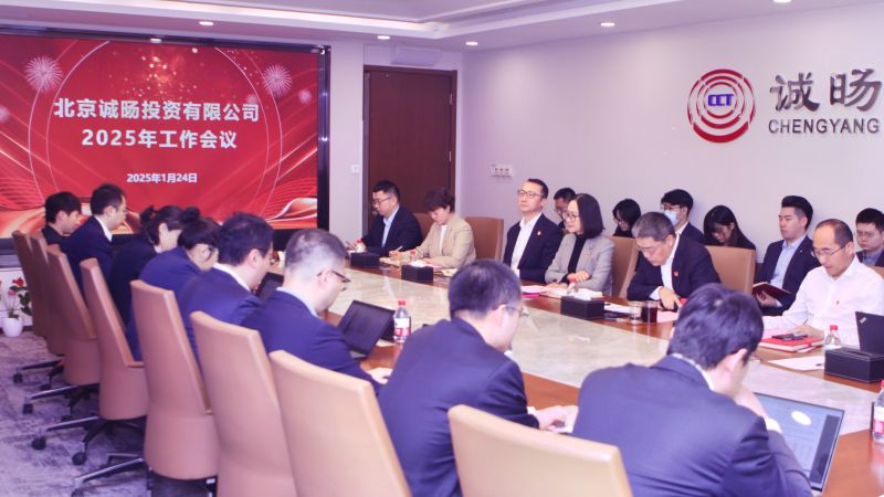 诚旸投资1