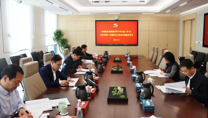 中国纸业 民主生活会