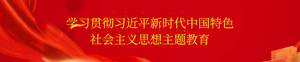 学习贯彻习近平新时代中国特色社会主义思想主题教育